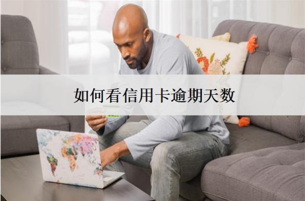 如何看信用卡逾期天數(shù)？查看渠道分享