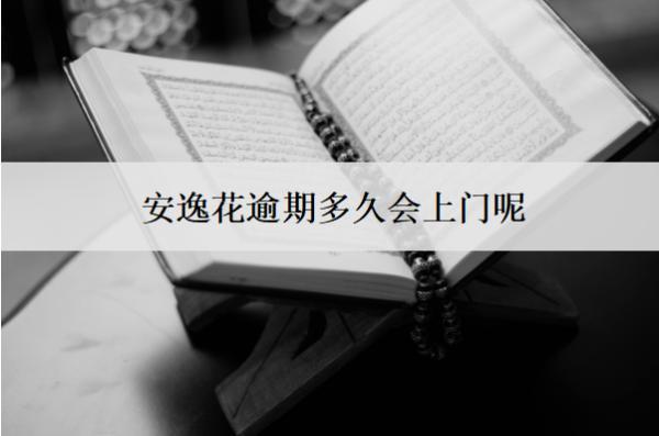 安逸花逾期多久會上門呢？上門怎么辦？
