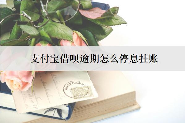 支付寶借唄逾期怎么停息掛賬？