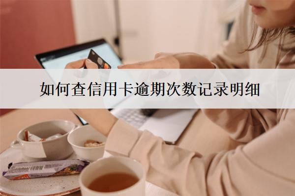 如何查信用卡逾期次數(shù)記錄明細(xì)？6種查詢渠道