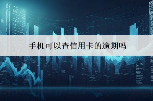 手機(jī)可以查信用卡的逾期嗎？
