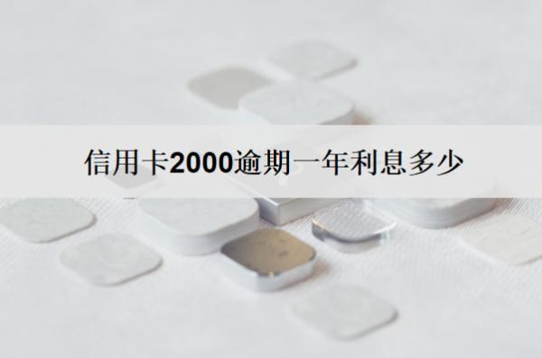 信用卡2000逾期一年利息多少？能減免嗎？