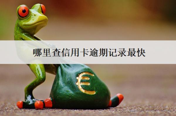 哪里查信用卡逾期記錄最快？這4個(gè)地方