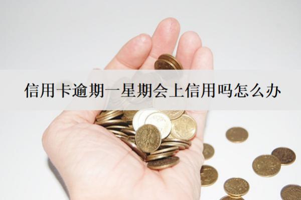 信用卡逾期一星期會(huì)上信用嗎怎么辦？