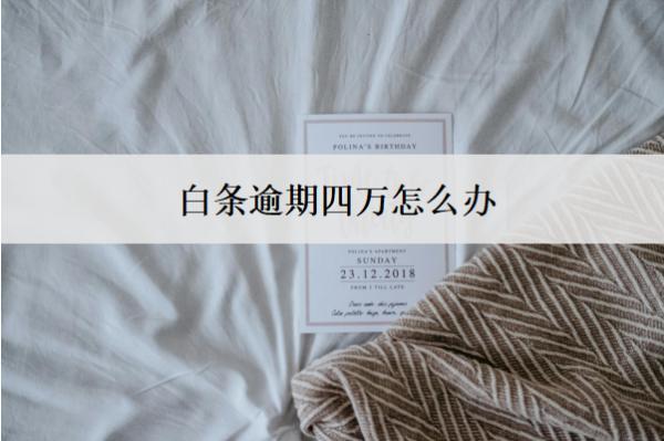 白條逾期四萬怎么辦？按這個步驟辦