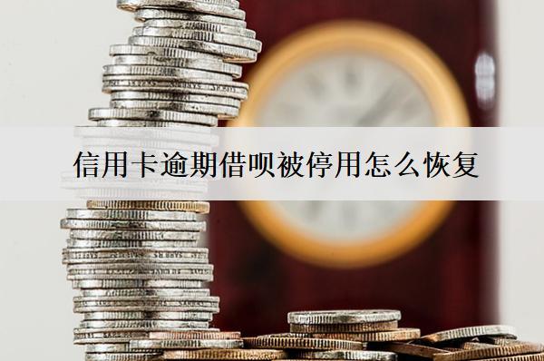 信用卡逾期借唄被停用怎么恢復(fù)？