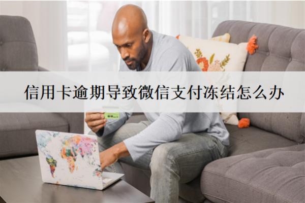信用卡逾期導致微信支付凍結(jié)怎么辦？一文教你如何解決