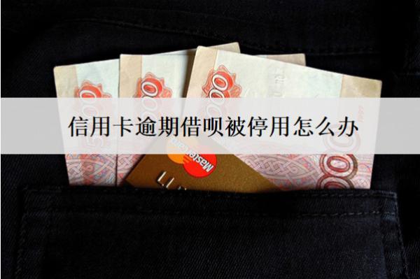 信用卡逾期借唄被停用怎么辦？