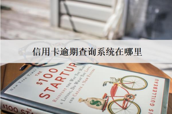 信用卡逾期查詢(xún)系統(tǒng)在哪里？在這些地方