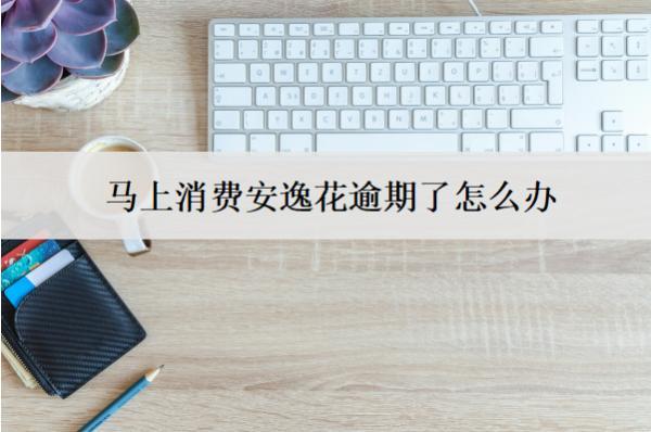 馬上消費安逸花逾期了怎么辦？會怎么樣？