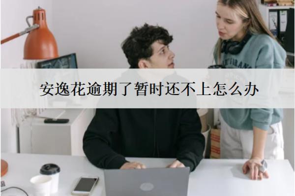 安逸花逾期了暫時還不上怎么辦？