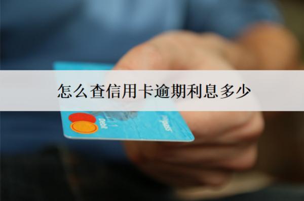 怎么查信用卡逾期利息多少？5個查詢渠道