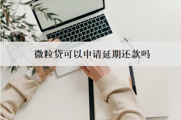 微粒貸可以申請延期還款嗎？失敗怎么辦？