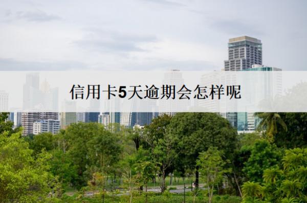 信用卡5天逾期會(huì)怎樣呢？怎么辦？