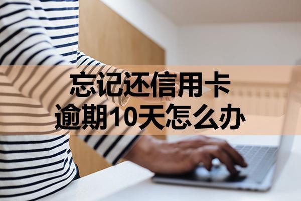忘記還信用卡逾期10天怎么辦？記住這幾點