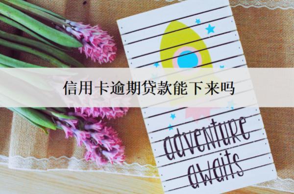 信用卡逾期貸款能下來嗎？貸款不了怎么辦？