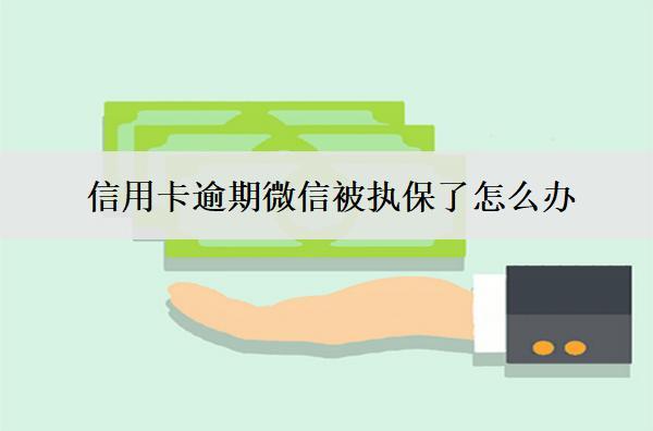 信用卡逾期微信被執(zhí)保了怎么辦？