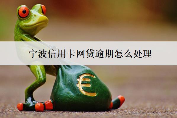 寧波信用卡網(wǎng)貸逾期怎么處理？