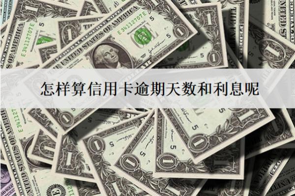 怎樣算信用卡逾期天數(shù)和利息呢？