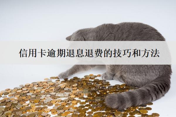 信用卡逾期退息退費(fèi)的技巧和方法