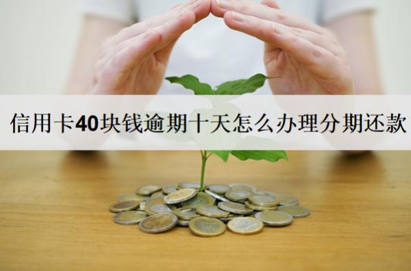 信用卡40塊錢逾期十天怎么辦理分期還款？