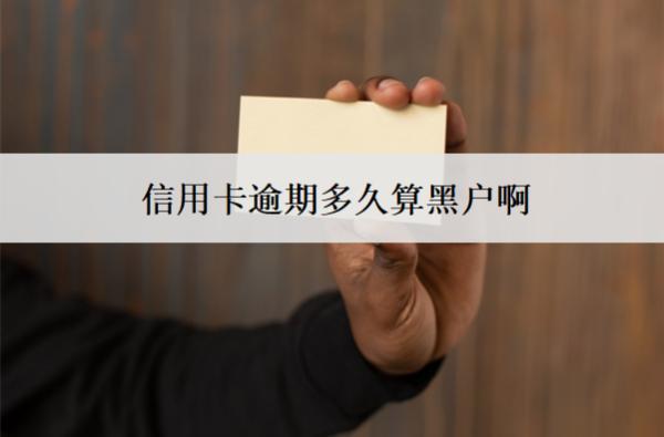 信用卡逾期多久算黑戶啊？多久恢復(fù)信譽(yù)？