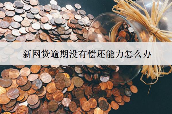 新網貸逾期沒有償還能力怎么辦？會導致什么結果？