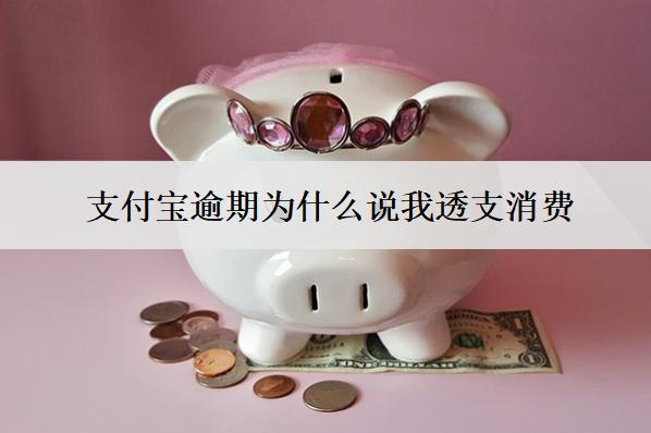 支付寶逾期為什么說我透支消費？原因是什么？