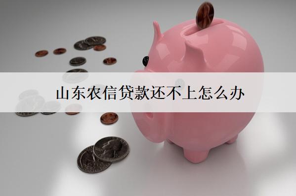 山東農(nóng)信貸款還不上怎么辦？會有什么后果？