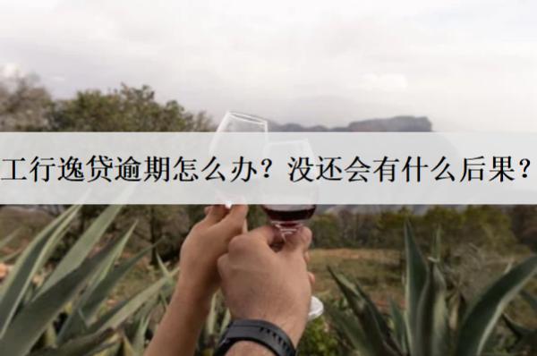 工行逸貸逾期怎么辦？沒還會(huì)有什么后果？