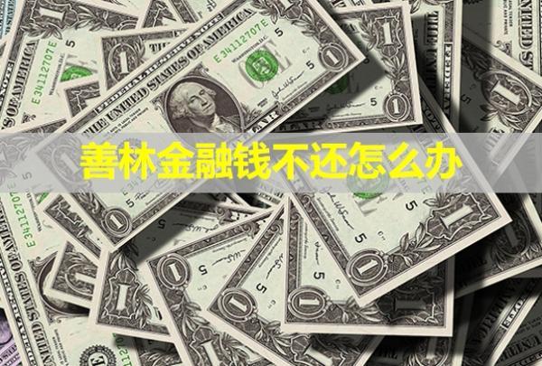 善林金融錢不還怎么辦？有什么后果？