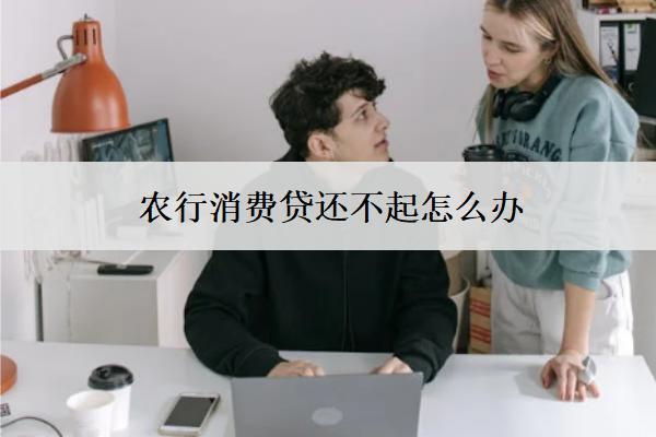 農(nóng)行消費(fèi)貸還不起怎么辦？4個(gè)應(yīng)對(duì)辦法