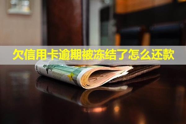 欠信用卡逾期被凍結(jié)了怎么還款？?jī)鼋Y(jié)了怎么解凍？