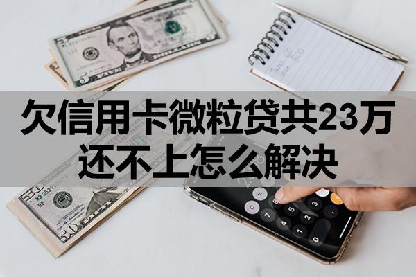欠信用卡微粒貸共23萬