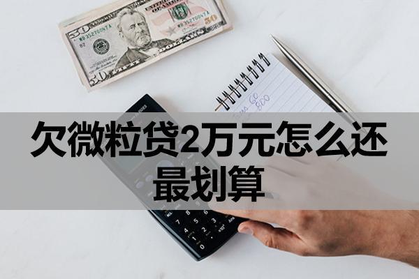 欠微粒貸2萬元怎么還最劃算？還不起怎么辦？