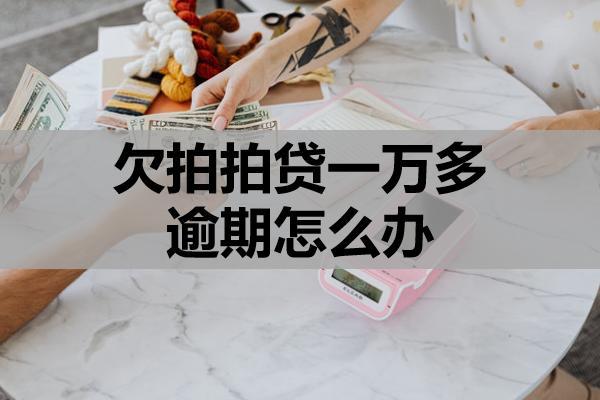 欠拍拍貸一萬多逾期怎么辦