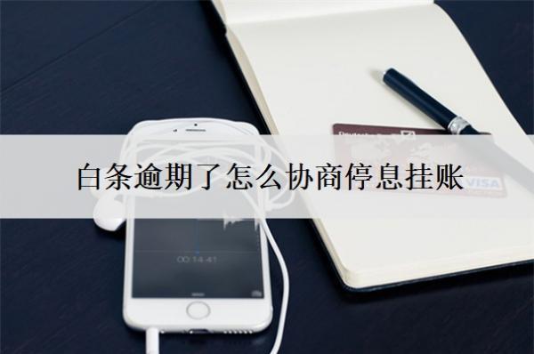 白條逾期了怎么協(xié)商停息掛賬？協(xié)商還款有幾種方案？