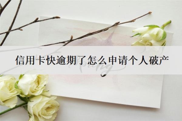信用卡快逾期了怎么申請(qǐng)個(gè)人破產(chǎn)？負(fù)債30萬無力償還怎么辦？