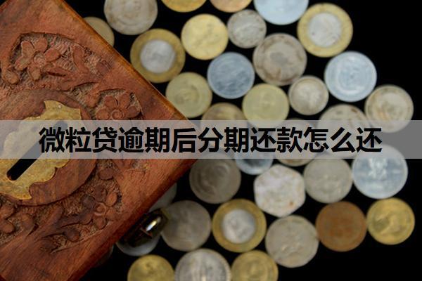 微粒貸逾期后分期還款怎么還？還款后額度沒恢復(fù)是為什么？