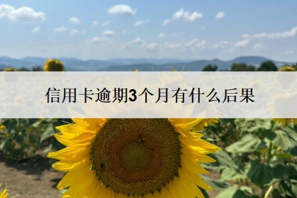信用卡逾期3個(gè)月有什么后果？四大銀行逾期可以協(xié)商還款嗎？