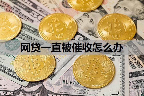 網(wǎng)貸一直被催收怎么辦