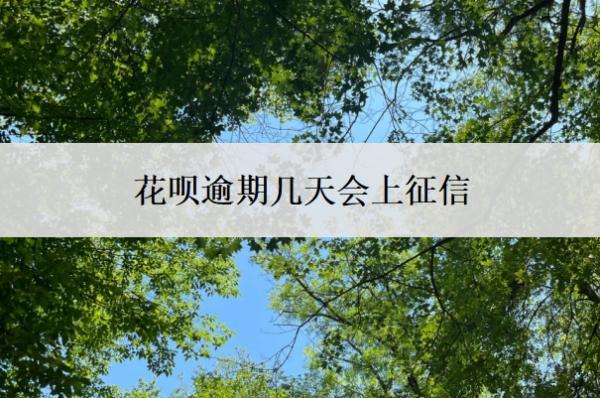 花唄逾期幾天會(huì)上征信？怎么協(xié)商還本金？