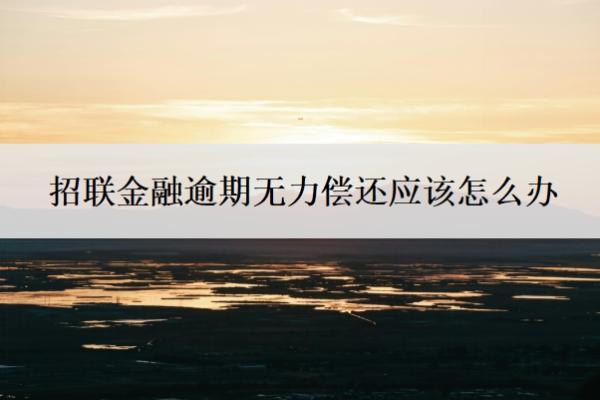 招聯(lián)金融逾期無力償還應(yīng)該怎么辦？還不上會有什么后果？