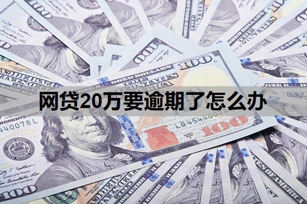 網(wǎng)貸20萬要逾期了怎么辦？欠網(wǎng)貸20萬不還會(huì)有什么后果？
