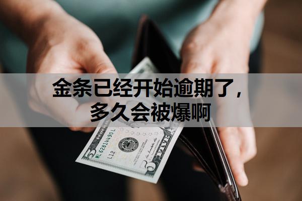 金條已經(jīng)開始逾期了，多久會(huì)被爆啊