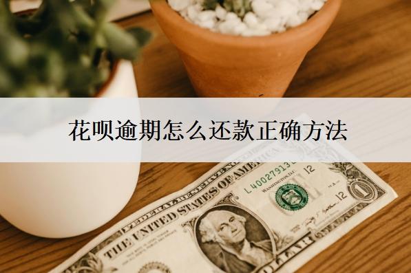 花唄逾期怎么還款正確方法？可以慢慢還嗎？