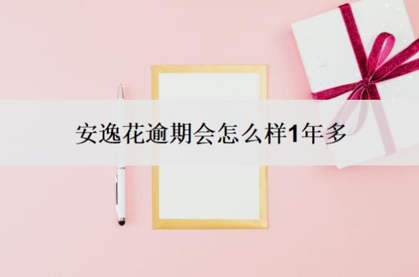 安逸花逾期會(huì)怎么樣1年多？可以協(xié)商延期還款嗎？