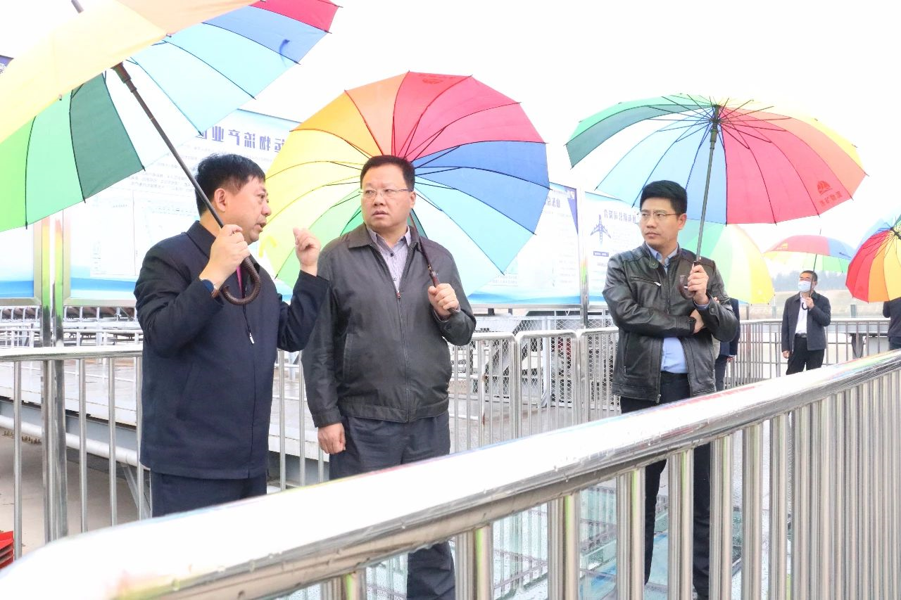 华能集团客人到济矿物流公司调研考察.jpg