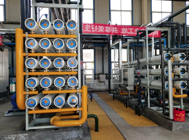 11.png