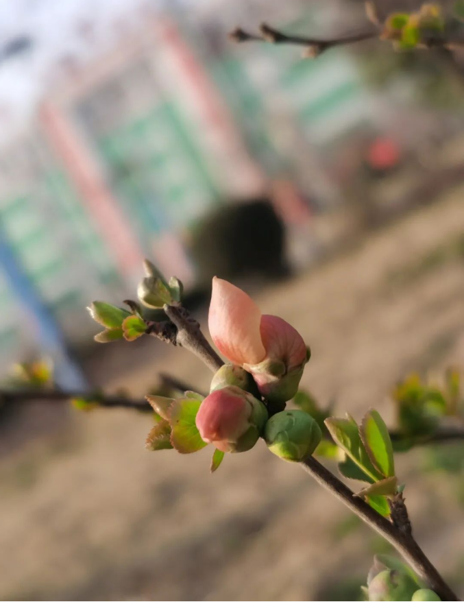微信截图_20220314091415.png